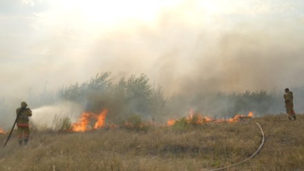 Высокий класс пожарной опасности установился в Воронежской области